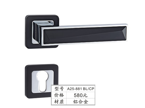 A25-881 BL/CP