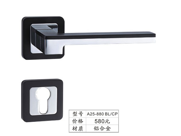 A25-880 BL/CP