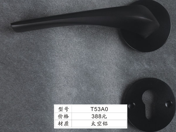 T53A0