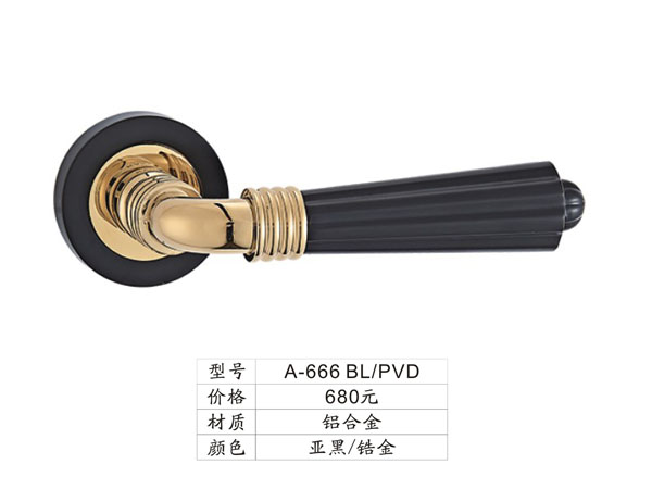 A-666 BL/PVD